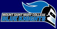 Mount Saint Mary College - New York logo