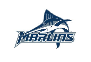 Virginia Wesleyan University logo